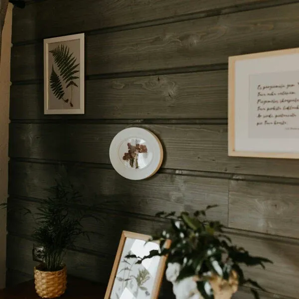 Apartamenta interjers